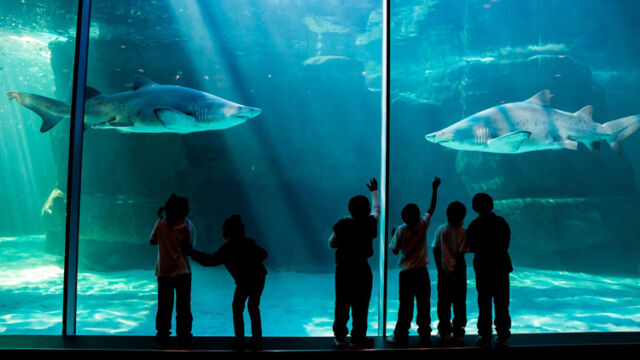 TWO OCEANS AQUARIUM