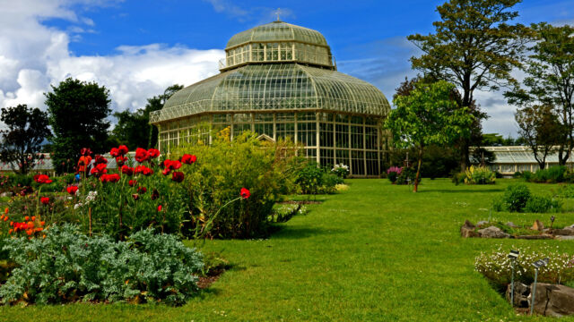 IRISH BOTANIC GARDENS