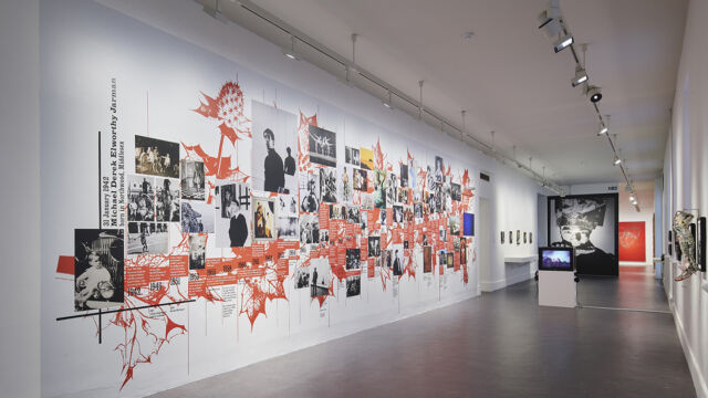 IMMA (IRISH MUSEUM OF MODERN ART)