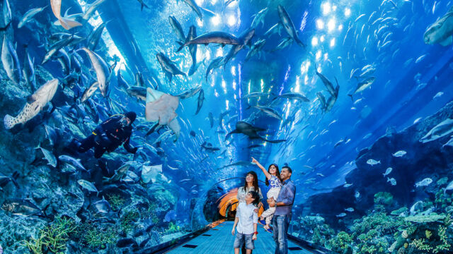 DUBAI AQUARIUM